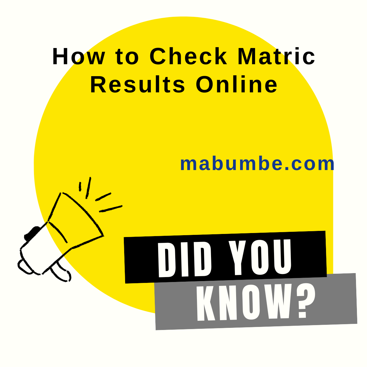 Learn How to Check Matric Results Online